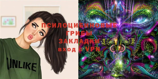 mdpv Баксан