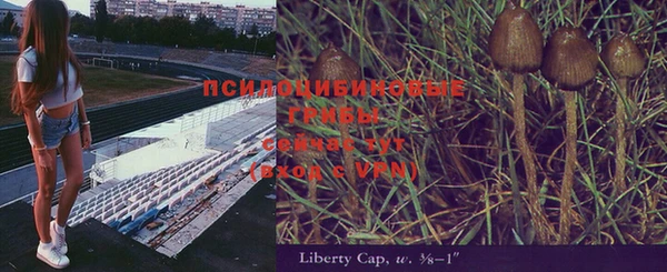 mdpv Баксан