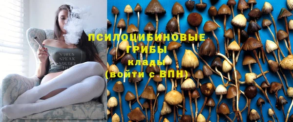 mdpv Баксан