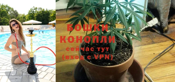 амф Балахна