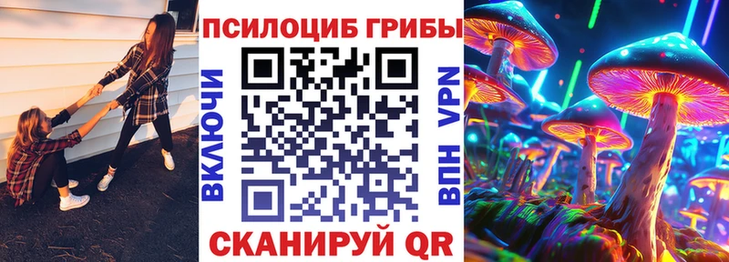 Купить закладки  Михайлов  Псилоцибиновые грибы GOLDEN TEACHER 
